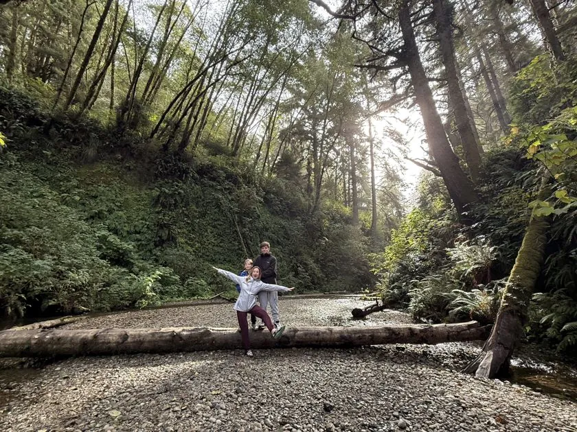 Fern Canyon